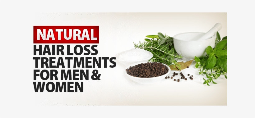 11 Herbal Remedies To Grow Hair Back On Balding Forehead - Natural Hair Loss Treatment - Free Transparent PNG Download - PNGkey 11 Herbal Remedies To Grow Hair Back On Balding Forehead - Natural Hair Loss Treatment - Free Transparent PNG Download - PNGkey