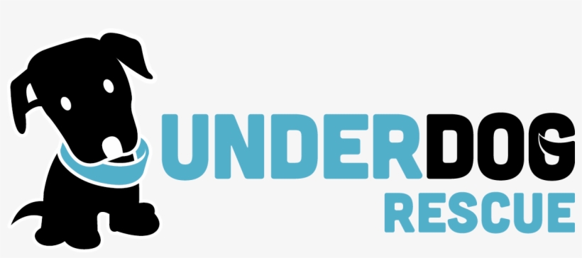 Underdog Rescue, transparent png #4153774