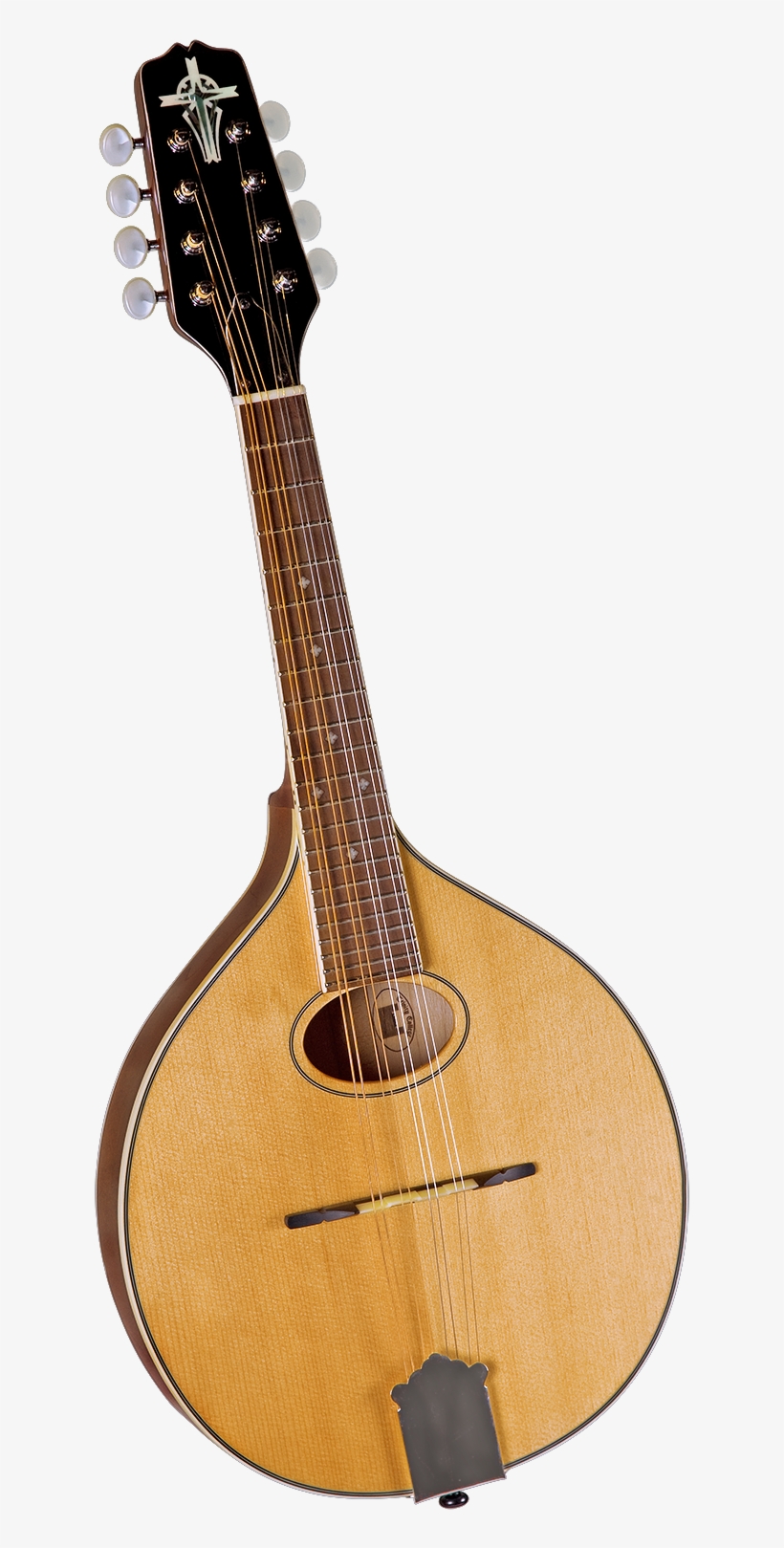 Trinity College Flat Top Mandolin - Trinity College Tm-250 Standard Celtic Mandolin, transparent png #4156769
