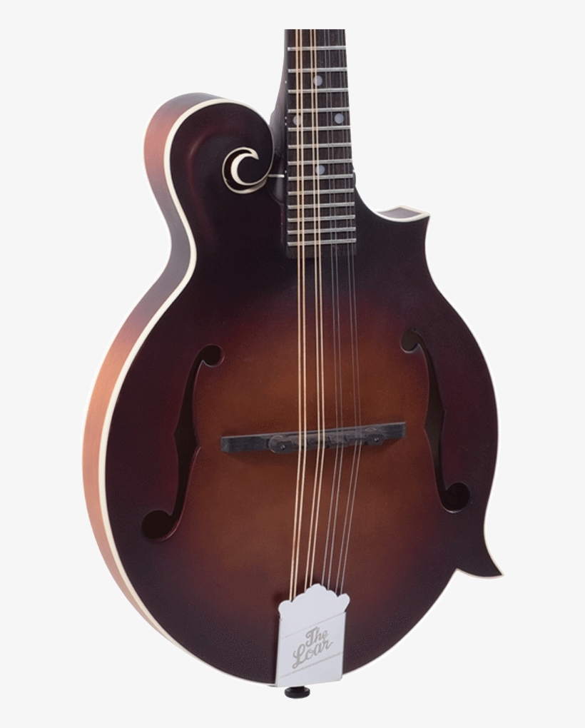 The Loar Lm 310fe Honey Creek F Style A/e Mandolin - Eastman Md315, transparent png #4156958