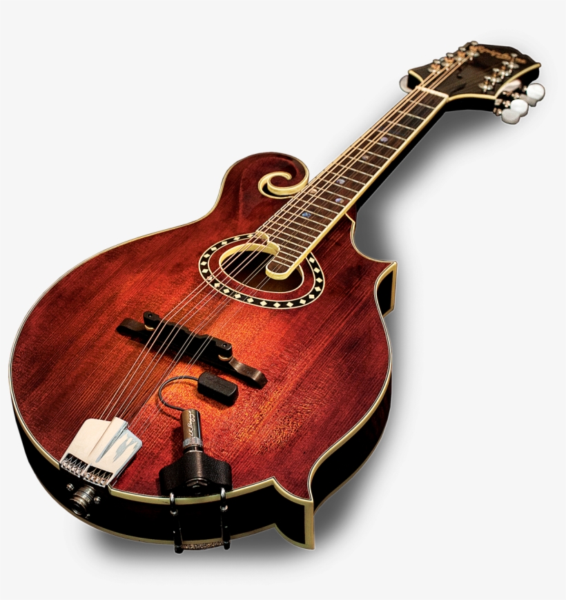 Lr Baggs Radius Transducer Pickup For Mandolin - Lr Baggs Radius M Mandolin Pickup With External Jack, transparent png #4157144