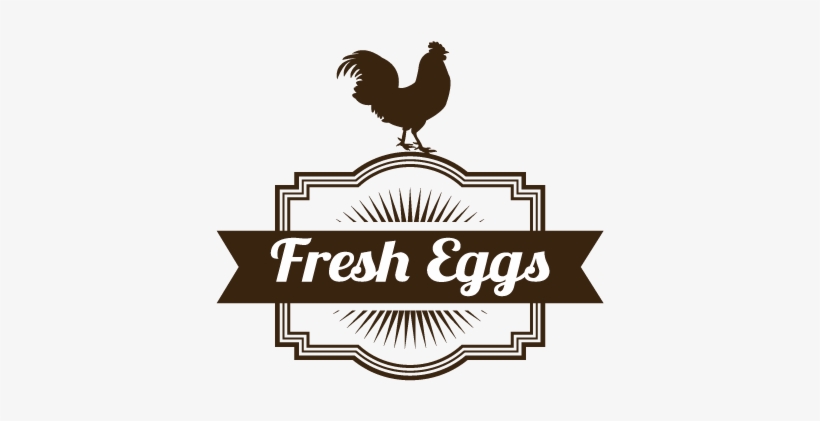 Fresheggs - Portable Network Graphics, transparent png #4157185