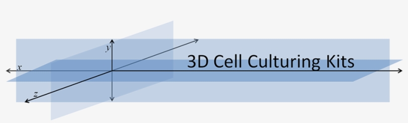 3d Cell Culture, transparent png #4157532