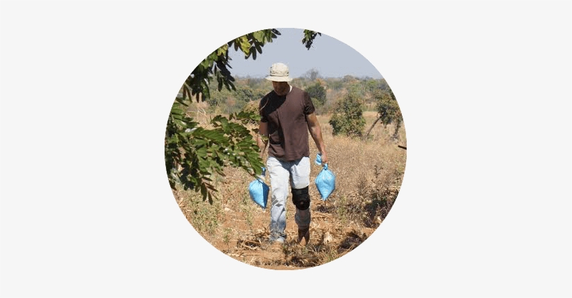 Parasitic Weed - Gardener, transparent png #4157576