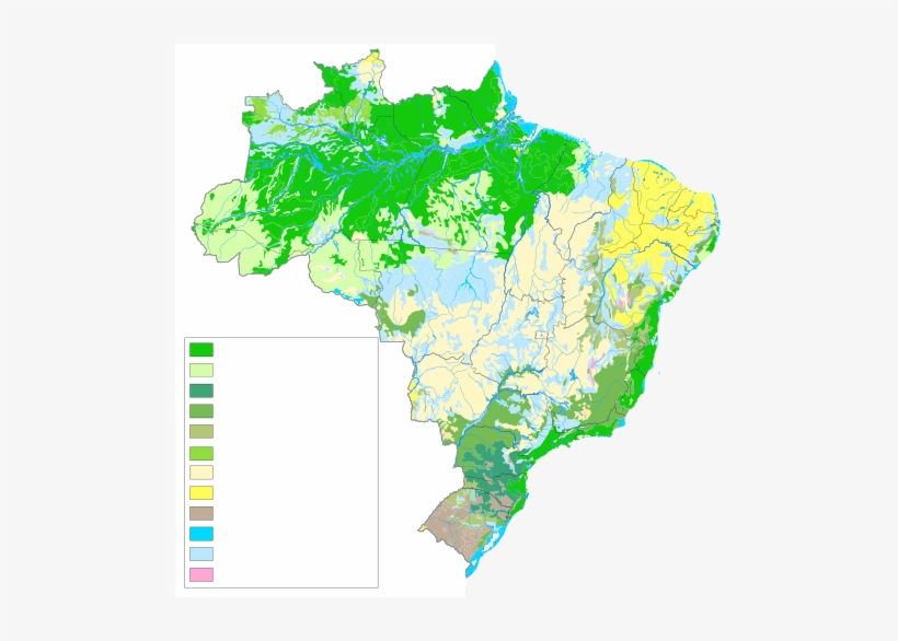 Vegetação Do Brasil - Mapa Da Vegetação Do Brasil, transparent png #4159459