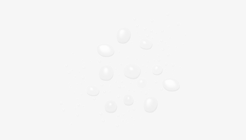 Pai Rice Plant & Rosemary Bioaffinity Toner - Pai Rice Plant & Rosemary Bioaffinity Tonic, transparent png #4160648