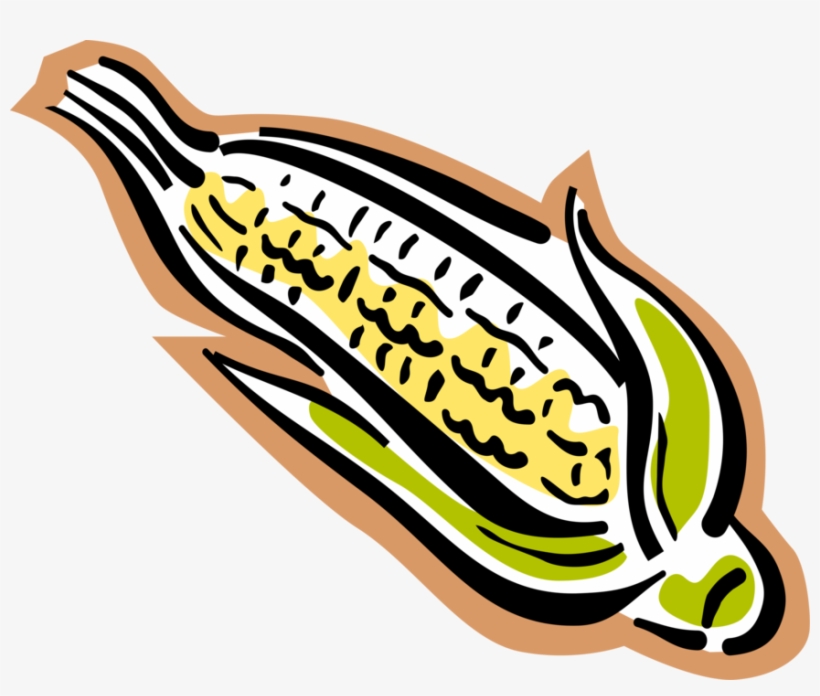 Vector Illustration Of Corn On The Cob Grain Plant - Maize, transparent png #4160734