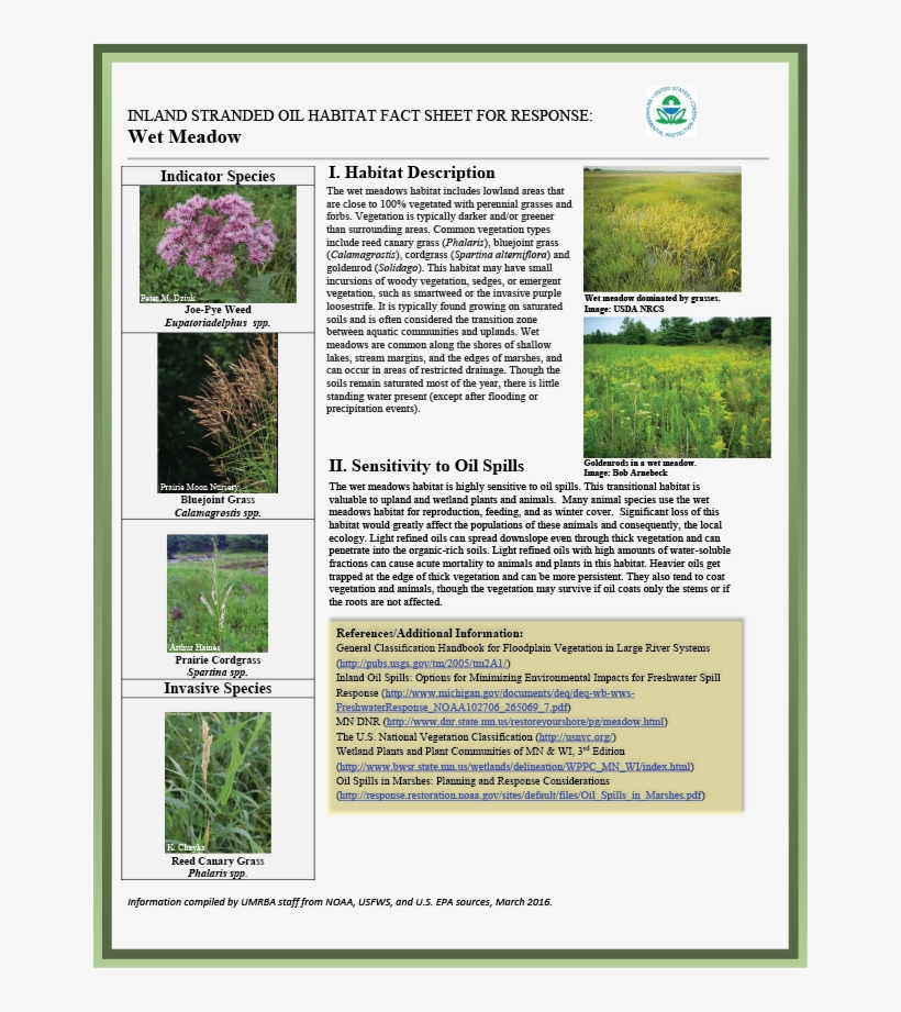 Download Pdf - Reed Canary Grass, transparent png #4161673