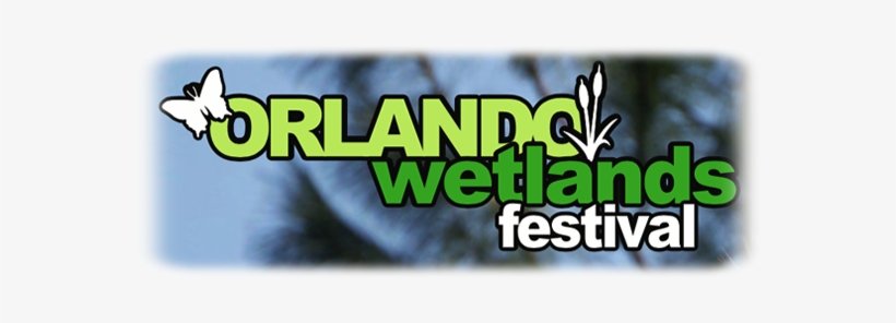 Orlando Wetlands Festival In February, - Orlando Wetlands Festival, transparent png #4161821