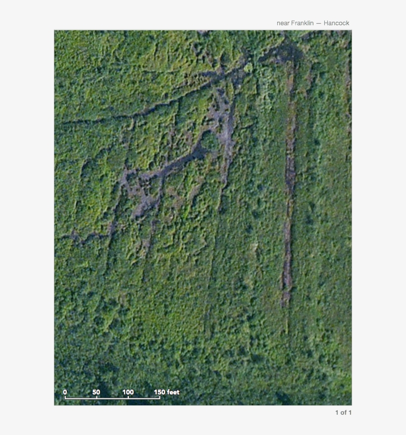 Paavola Wetlands - Grass, transparent png #4161982