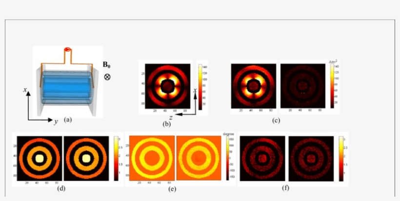 Rf Current Density Vector Reconstruction Based On 1 - Euclidean Vector, transparent png #4162172
