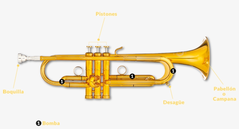 Hay Dos Tipos De Trompetas Que Veréis En El Espectáculo, - B&s Mbx2-gl. Trompeta En Si B, transparent png #4162905