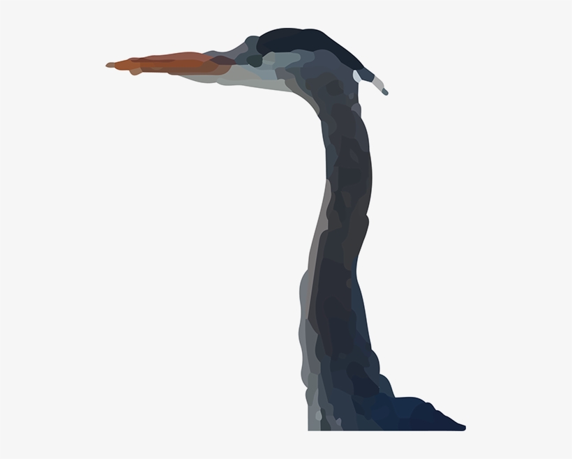 Blue Heron At Blue Heron Campground - Great Blue Heron, transparent png #4163571