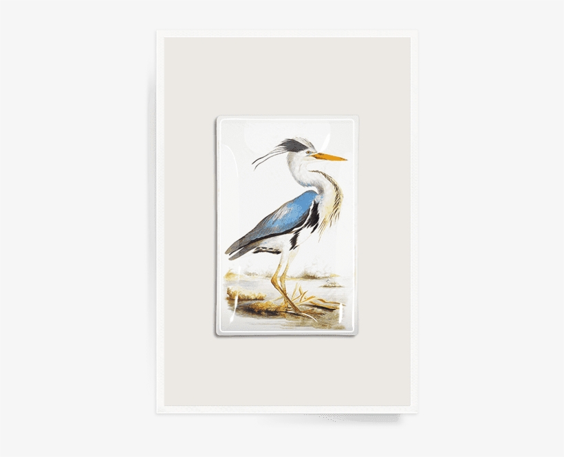 William Macgillivray Creatures Of Air Land And Sea, transparent png #4163666