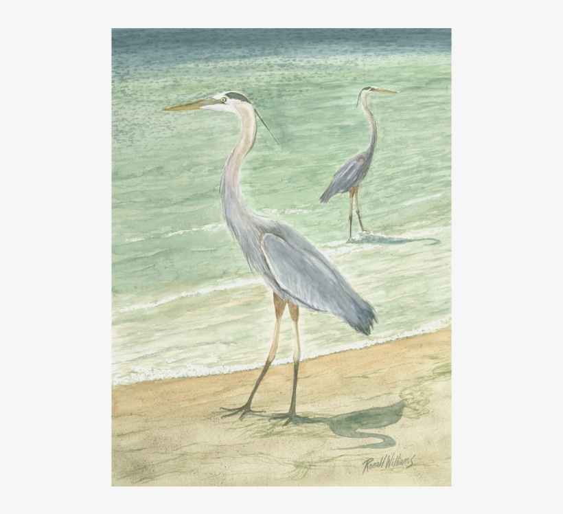 Blue Heron, transparent png #4163835
