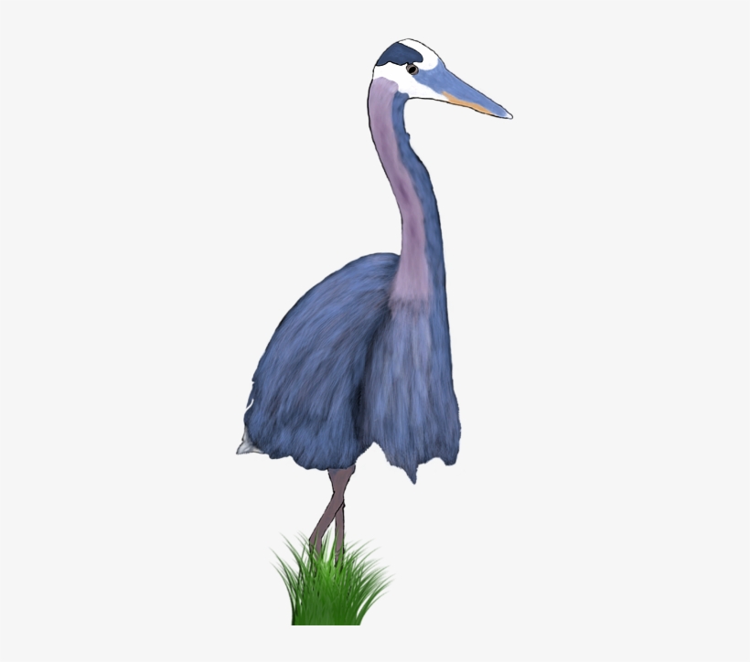 Click And Drag To Re-position The Image, If Desired - Niedliche Vogel-illustration Babylätzchen, transparent png #4164340