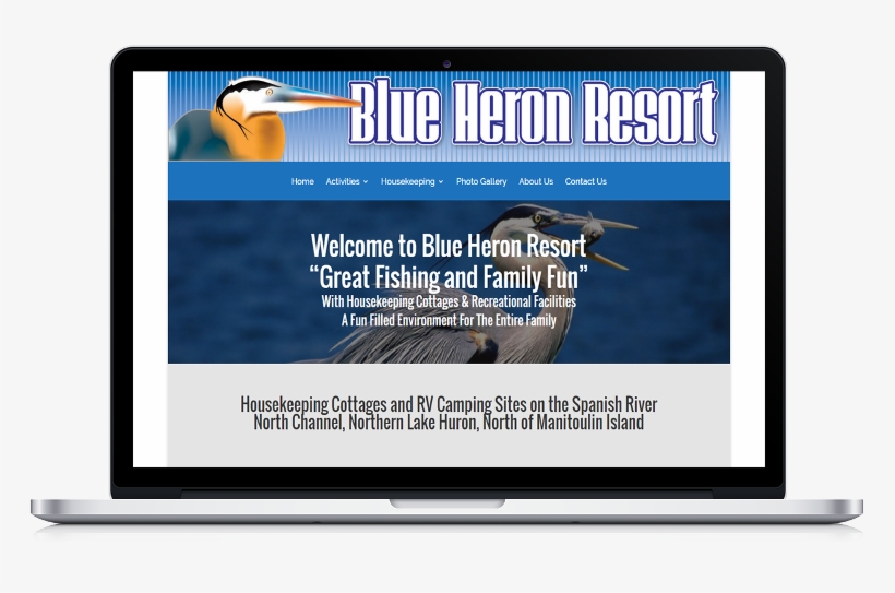 Blue Heron - Dna Annotation, transparent png #4164382
