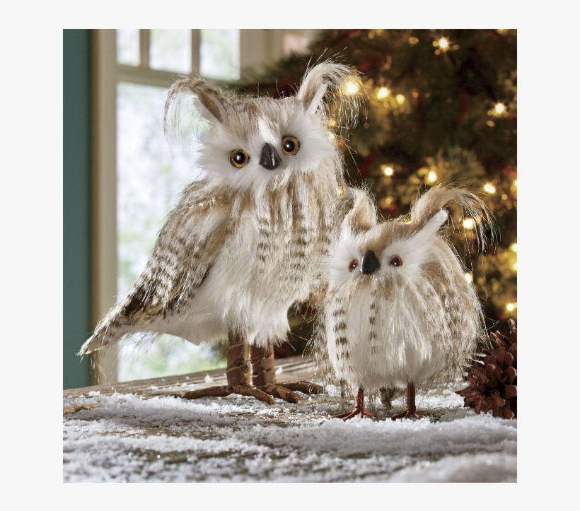 Set Of 2 Snowy Owls - Screech Owl, transparent png #4166018