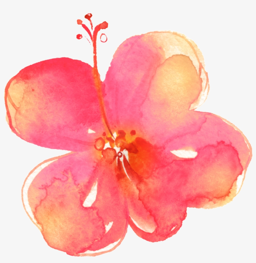Painted Pink Hd Flower Petals Png - Flower, transparent png #4166188
