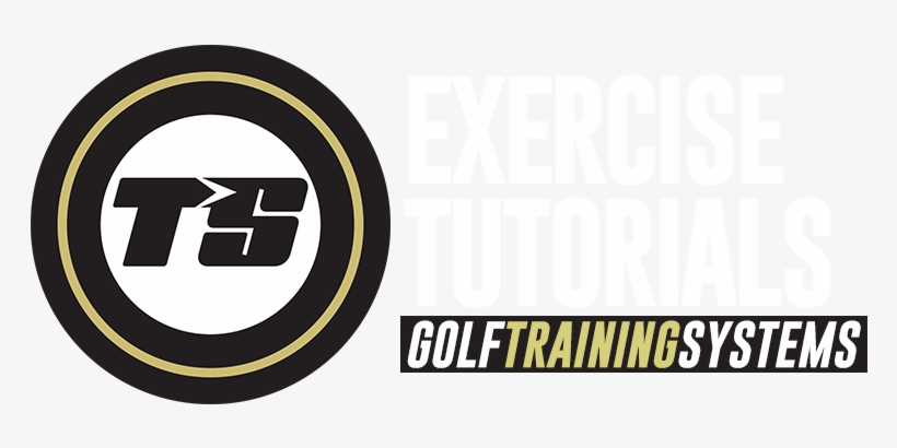 Tampa Strength Academy, transparent png #4166508