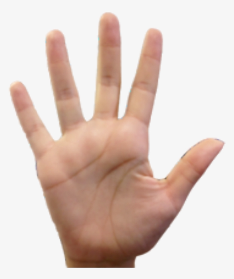 Mao Pare Png - Palma Das Mãos, transparent png #4166593