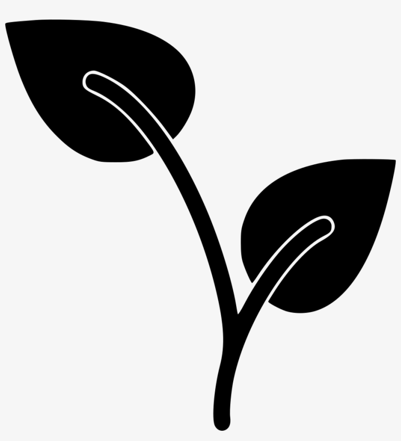 Growing Plant - - Plants, transparent png #4167446