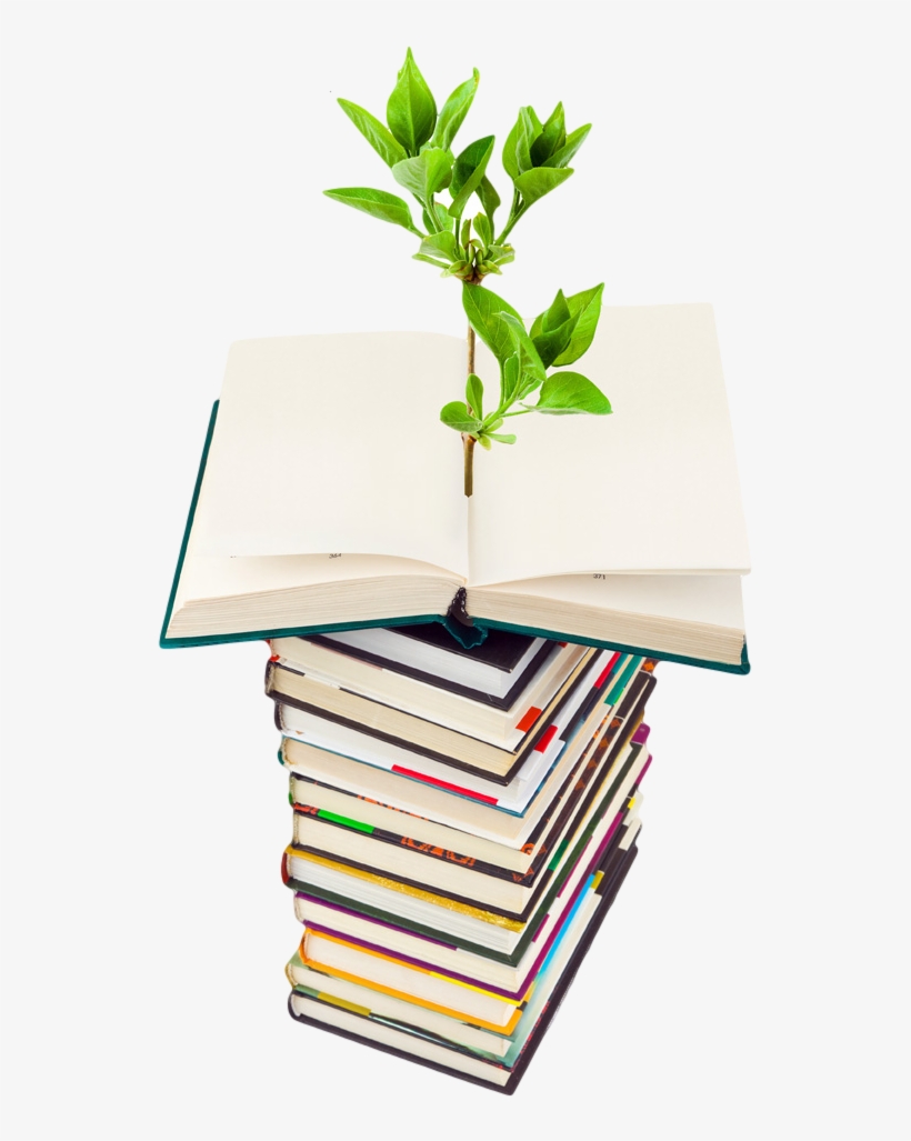 Photo Of Plant Growing From A Stack Of Books - Greatest Guide To Green Living, transparent png #4167625