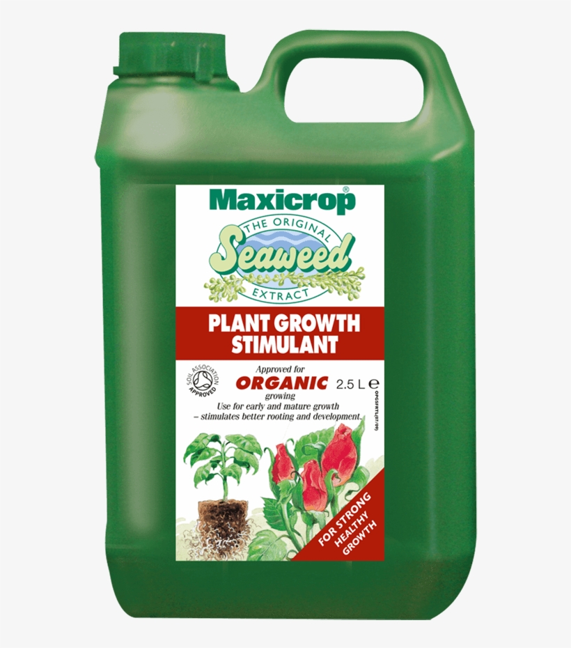 Next - Maxicrop Seaweed, transparent png #4167943