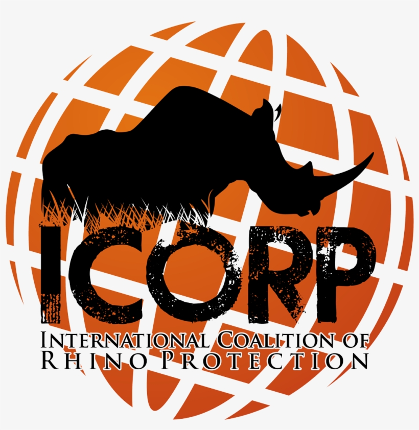 Instagram, transparent png #4168694