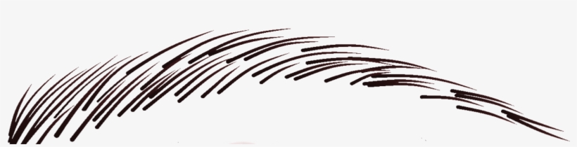 Micro Brow Sketch, transparent png #4168891