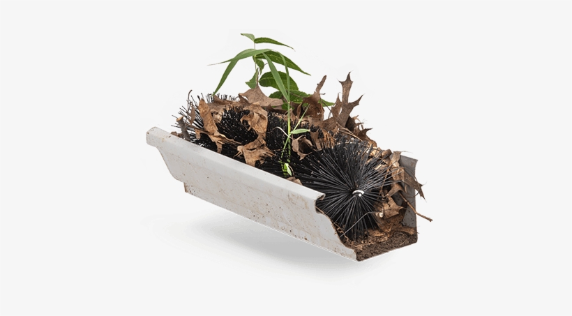Brush Gutter Guards Do Not Seal The Gutter From Debris - Flowerpot, transparent png #4169683