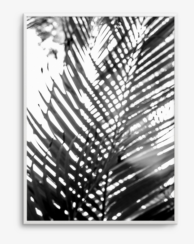 Blur - Photography, transparent png #4171074