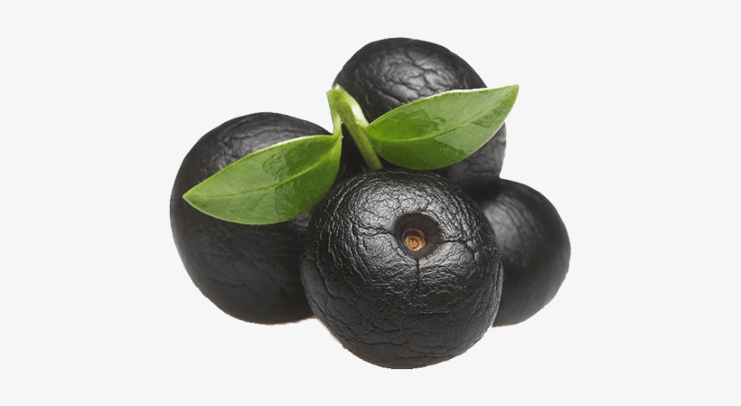 Nutrients Available In Acai Berries Acai Berries - Açaí Palm, transparent png #4171180