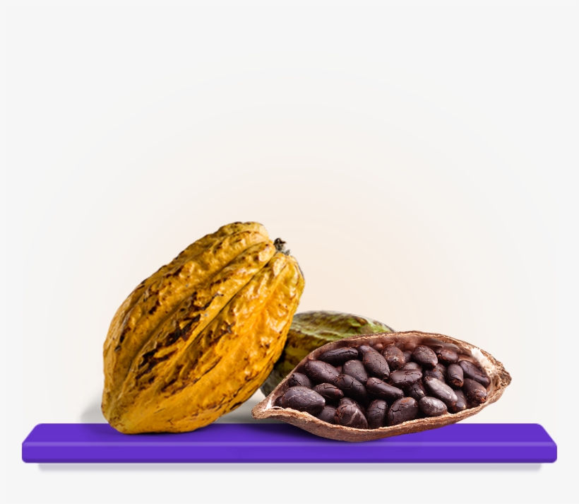 Wow Skin Revive Nectar Moisturiser - 300ml - Shea, transparent png #4171205