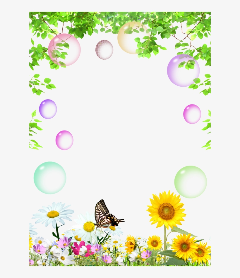 Camomile, transparent png #4171251