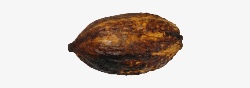 Chocolate As Cash - Cocoa Butter, transparent png #4171411