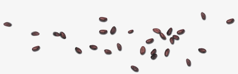 Rue Des Marsouins 2646 Treich Ville Abidjan - Amber, transparent png #4171796