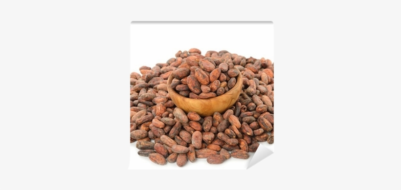Photography, transparent png #4171817