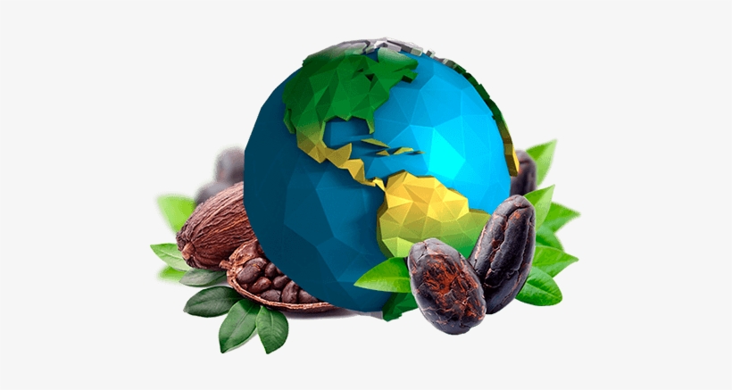 Our Main Sources Of Cocoa Beans Are Colombia, Ecuador, - Mesmara Raw Unrefined Cocoa Butter 50g, transparent png #4171937