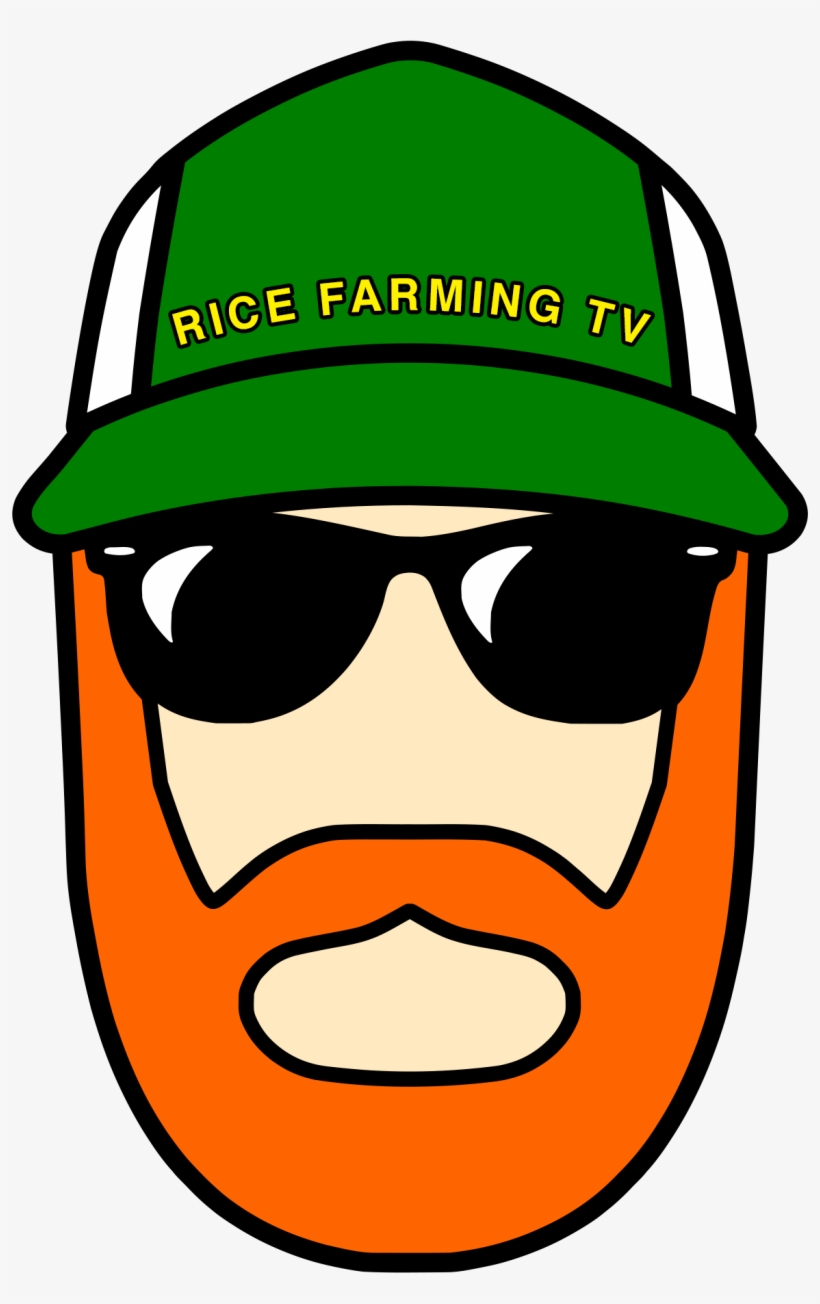 Rice Farming Tv Matthew Sligar - Television, transparent png #4172388
