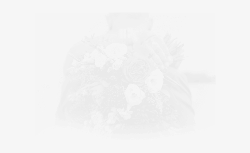 Photo Album Book - Photography, transparent png #4172784