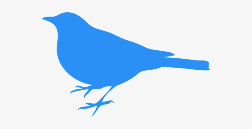 Bluebird Bird Animal Blue Wildlife Ornitho - Clip Art Blue Bird, transparent png #4173289