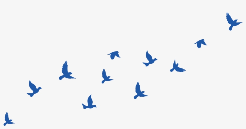 Site Image - Site-image, transparent png #4173458