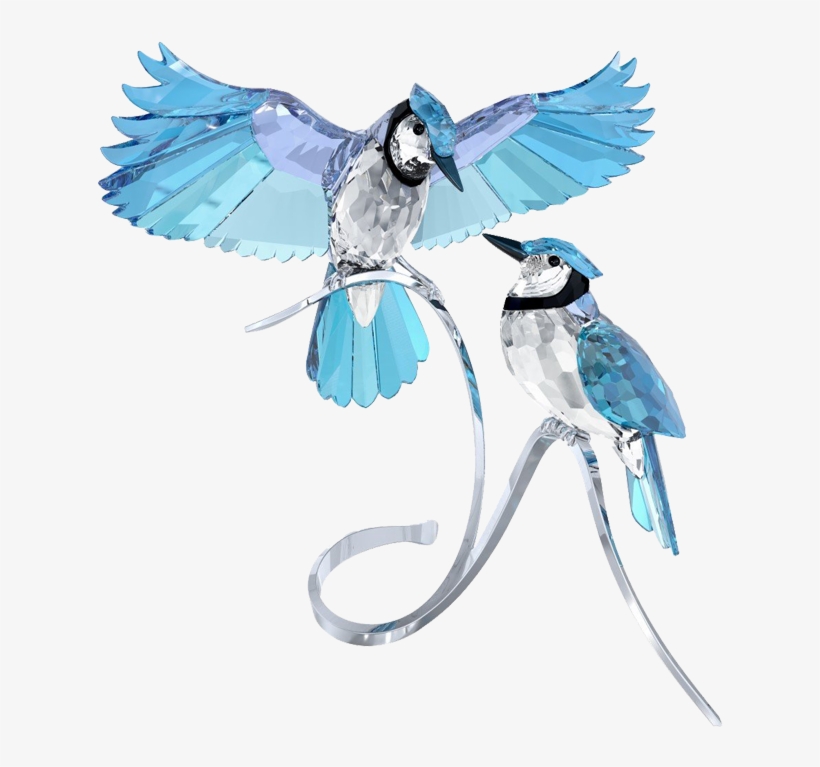 Jewels - Swarovski Blue Jays, transparent png #4173721