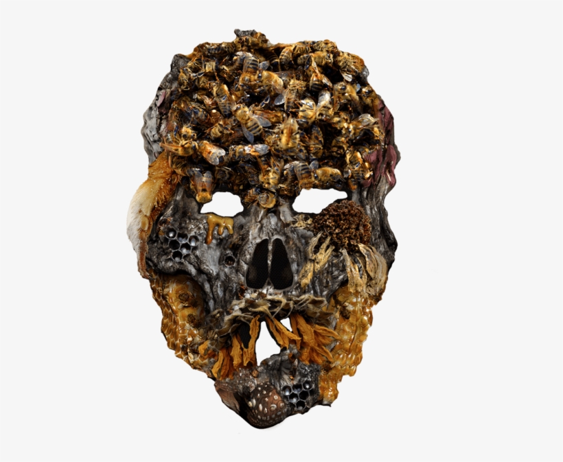 The Pesticide Mask Tackles The Issue Of Colony Collapse - Skull, transparent png #4173890