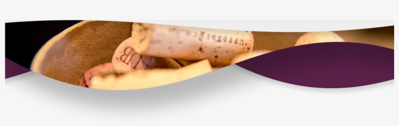 Experience Okanagan Wine Tours Imagetopbanner Template - Longboard, transparent png #4175868