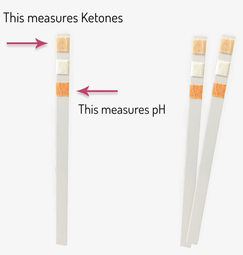 Keto-ph Urine Test Strips - Urine Test Strip, transparent png #4177133