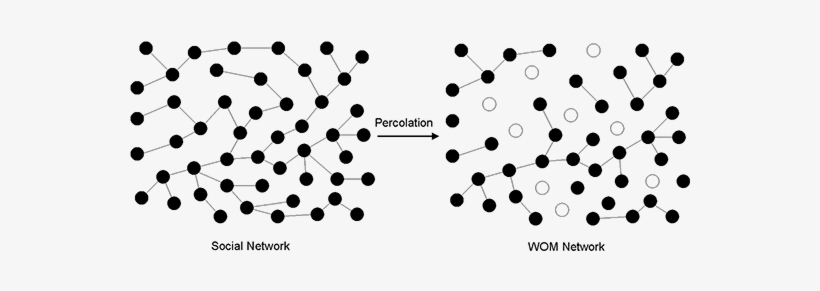 Social Learning And Word Of Mouth Networks - Circle, transparent png #4177437