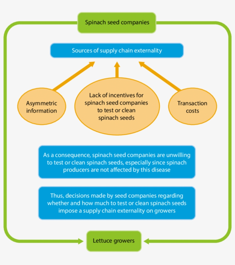As Indicated By The Green Arrows, The Supply Chain - Supply Chain, transparent png #4177502