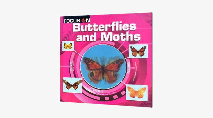 Picture Of Focus On - Lepidoptera, transparent png #4178282